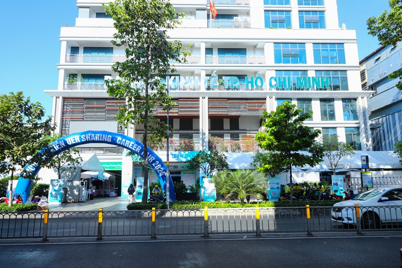 cá cược thể thao hul city